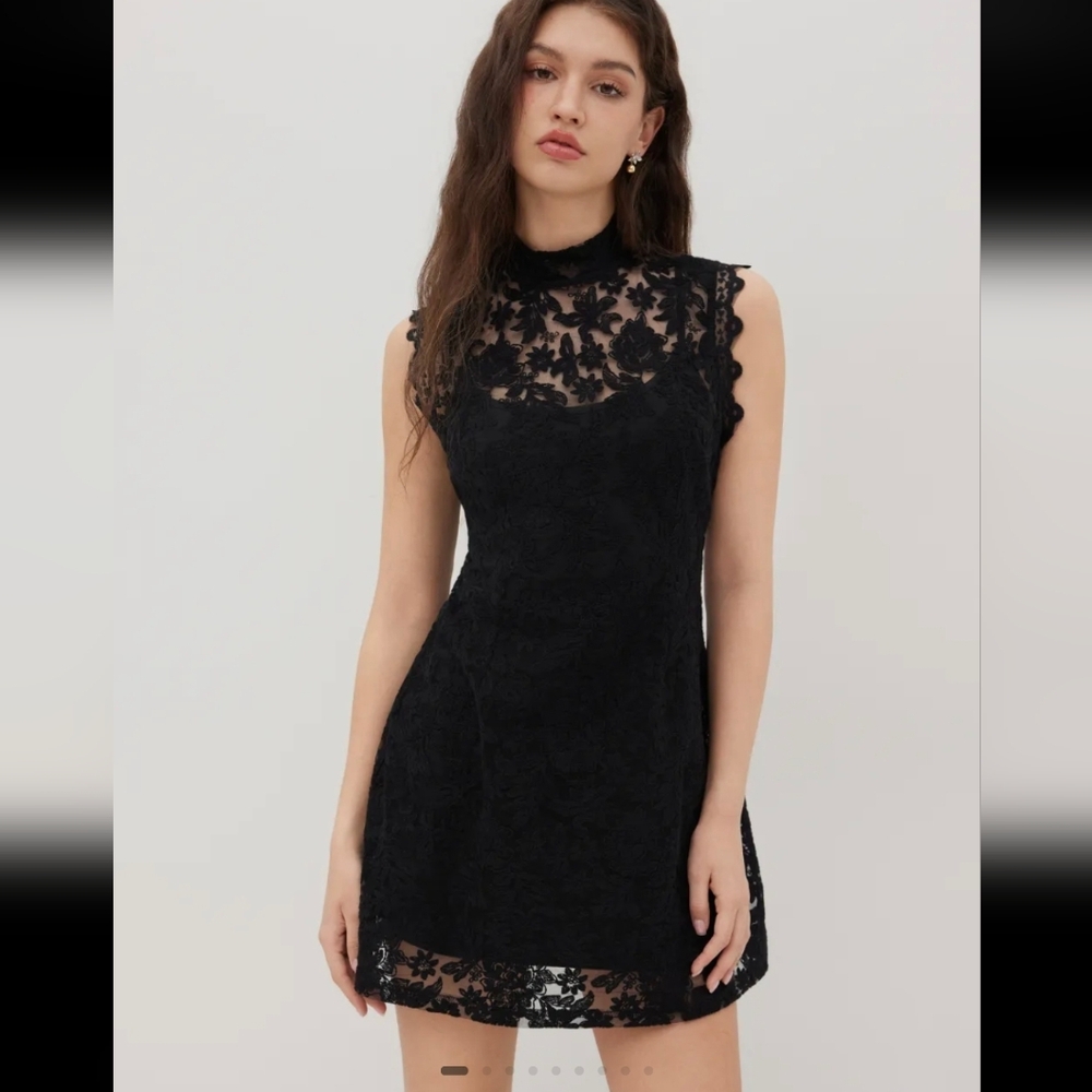 Cider Black Lace Mini Dress